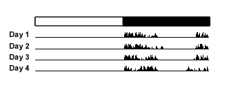 2.4: single-plotted