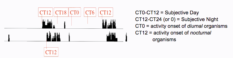 2.8: CT from FR