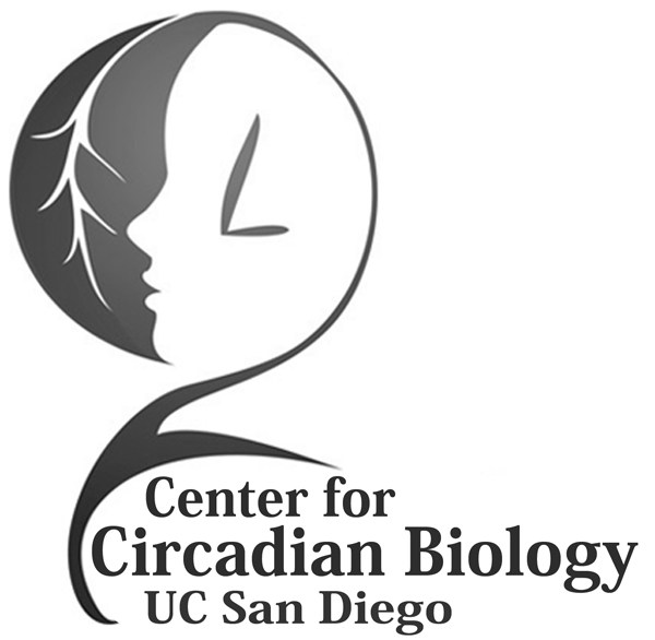 CCB logo gray